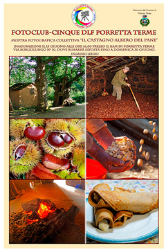 mostra del castagno fotoclub 5